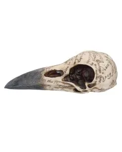 Edgar´s Raben Totenschädel -Angebote Halloween Deko Store edgars raben skelettschaedel edgars raben totenschaedel edgars raven skull 39198 03