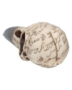 Edgar´s Raben Totenschädel -Angebote Halloween Deko Store edgars raben skelettschaedel edgars raben totenschaedel edgars raven skull 39198 04