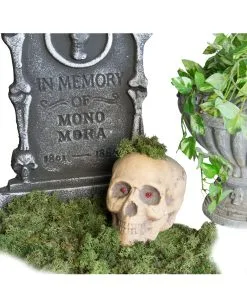 Halloween Deko Moos 100 G -Angebote Halloween Deko Store halloween deko moos 100g halloween friedhof dekoration moos halloween decoration 28263