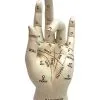 Wahrsage & Handlese Hand -Angebote Halloween Deko Store handlese und wahrsage hand gothic deko halloween tischdekoration 50340 01