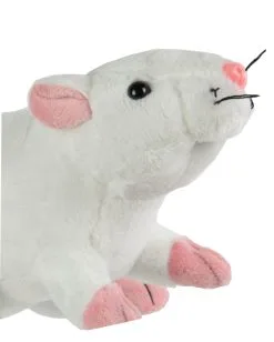 Weiße Plüschratte 19cm 9 Weiße Plüschratte 19cm -Angebote Halloween Deko Store kuscheltier ratte 19cm weiss plueschratte fuer kinder geschenkartikel plueschtier ratte 29709 4