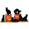 Lemax Spooky Town - Halloween Katzen 2er Set 1 Lemax Spooky Town - Halloween Katzen 2er Set -Angebote Halloween Deko Store lemax spooky town halloween cats 2er set halloween deko spooky town figuren kaufen 53725 01
