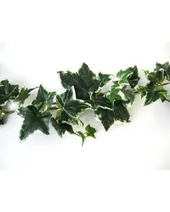 Mehrfarbige Efeugirlande 180cm 7 Mehrfarbige Efeugirlande 180cm -Angebote Halloween Deko Store mehrfarbige efeugirlande halloween efuegirlande variegarted ivy garland halloween deko 53712 03