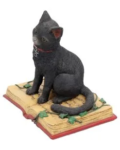 Schwarze Hexenkatze Mit Pentagramm -Angebote Halloween Deko Store schwarze katze mit hexenbuch schwarze hexenkatze mit pentagramm witch cat eclipse 39250 02