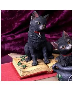 Schwarze Hexenkatze Mit Pentagramm -Angebote Halloween Deko Store schwarze katze mit hexenbuch schwarze hexenkatze mit pentagramm witch cat eclipse 39250 05