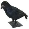 Rabe Schwarz 32 Cm -Angebote Halloween Deko Store schwarzer rabe halloween deko realistic crow halloween decoration 10472
