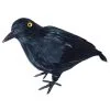 Rabe Schwarz Klein 22cm -Angebote Halloween Deko Store schwarzer rabe mit federn halloween deko black crow halloween decoration 13832 01