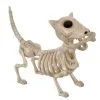Hunde Skelett Mit Knochen 27cm -Angebote Halloween Deko Store skelett hund mit knochen hunde skelett mit knochen skeleton dog with bone 52641 01