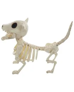 Hunde Skelett Mit Knochen 27cm -Angebote Halloween Deko Store skelett hund mit knochen hunde skelett mit knochen skeleton dog with bone 52641 03