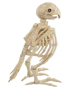 Papagei Skelett 19cm -Angebote Halloween Deko Store skelett papagei skeleton parrot halloween dekoration 52638 03