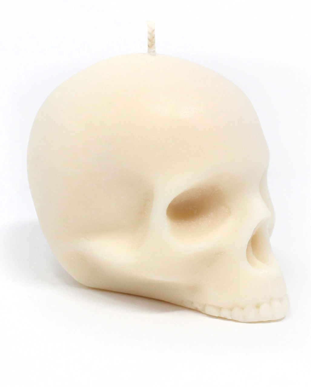 Totenschädelkerze Ohne Kiefer 6,5cm 3 Totenschädelkerze Ohne Kiefer 6,5cm – Bild 2
