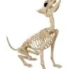 Werwolf Skelett 70cm 1 Werwolf Skelett 70cm -Angebote Halloween Deko Store werwolf skelett werwolf skeleton halloween skelett halloween deko 52649 01